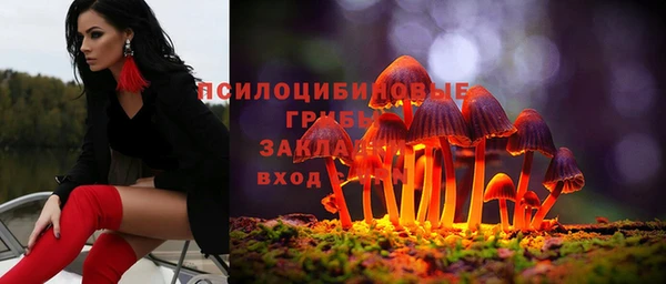 эйфоретик Няндома