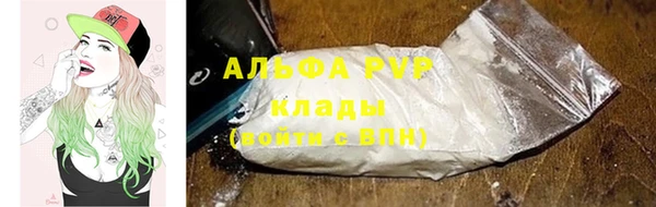 эйфоретик Няндома