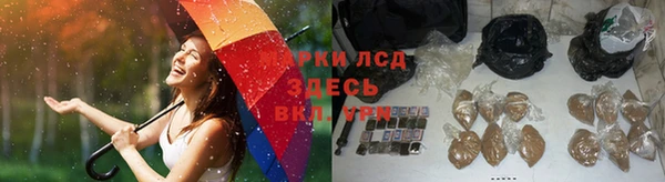 соль ск Ленинск-Кузнецкий