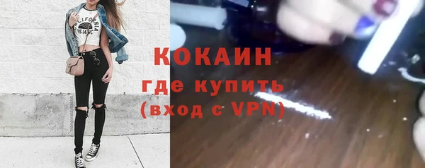 эйфоретик Няндома