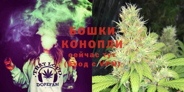 шишки Нязепетровск