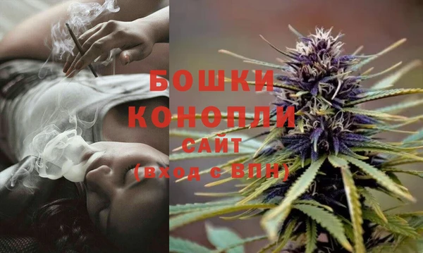 шишки Нязепетровск