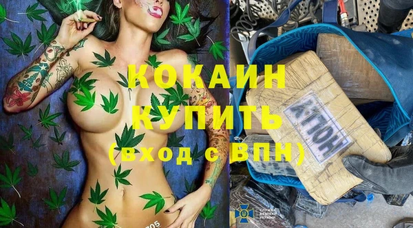 шишки Нязепетровск
