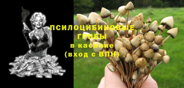 эйфоретик Няндома
