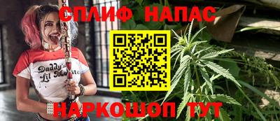 PSILOCYBIN Гусиноозёрск