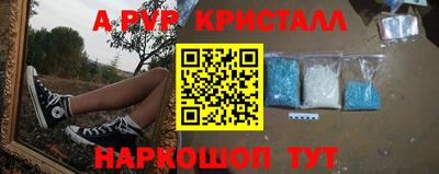 PSILOCYBIN Гусиноозёрск
