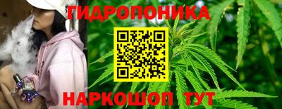 гидра Гусев