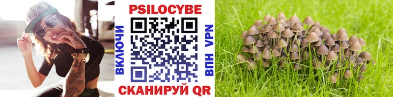 Галлюциногенные грибы Psilocybe  Протвино 