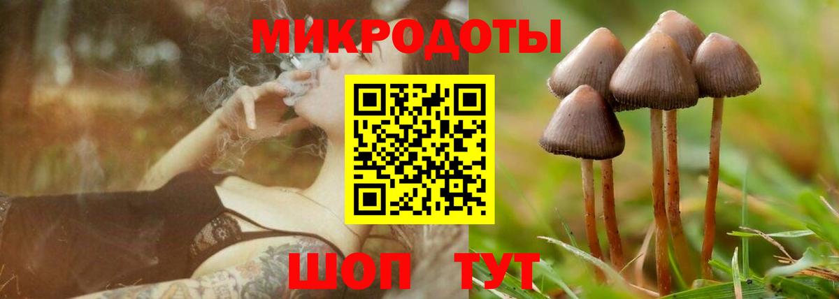 Псилоцибиновые грибы Cubensis  Вход с VPN  Протвино 